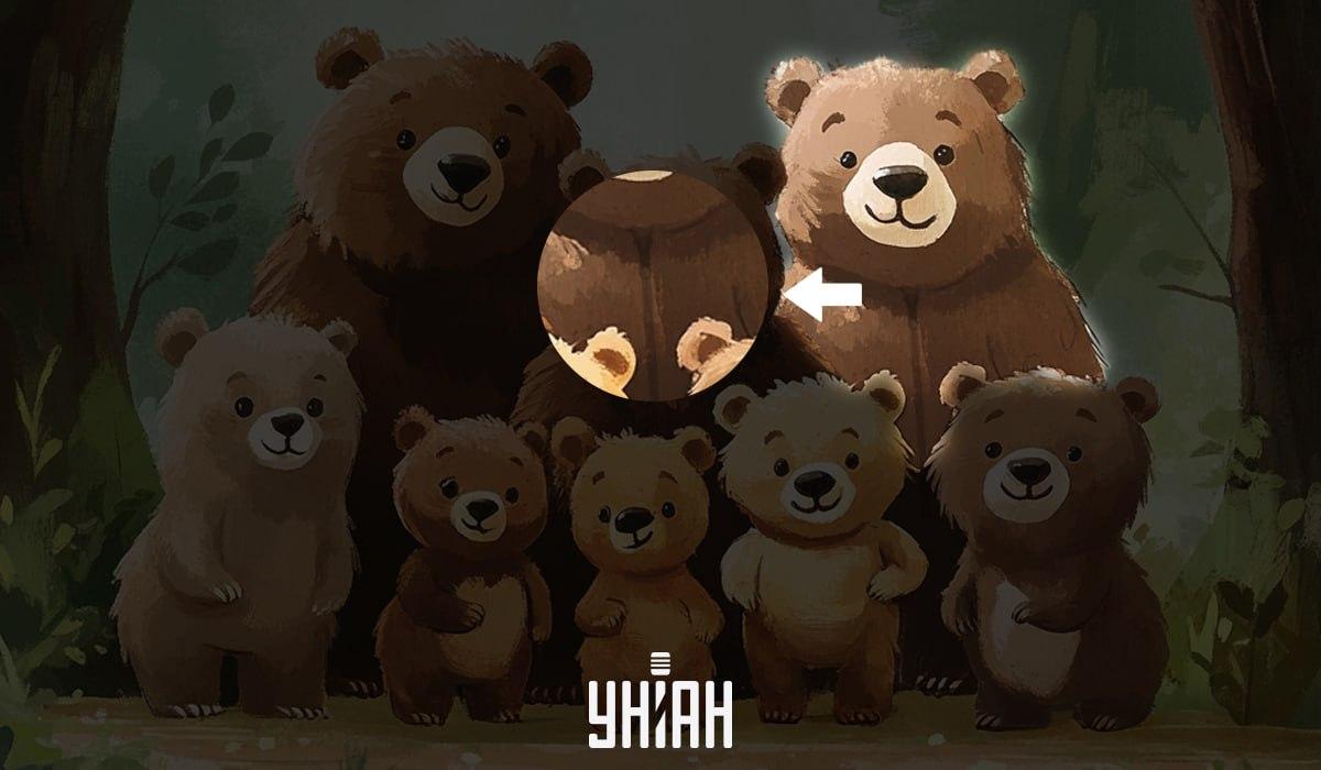 Viltota lāča atrašana 5 sekundēs: ļoti vienkāršs IQ tests