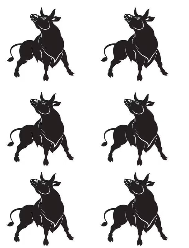 Interesanta uzmanības mīkla