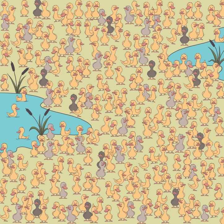 Noslēpums un galvenais