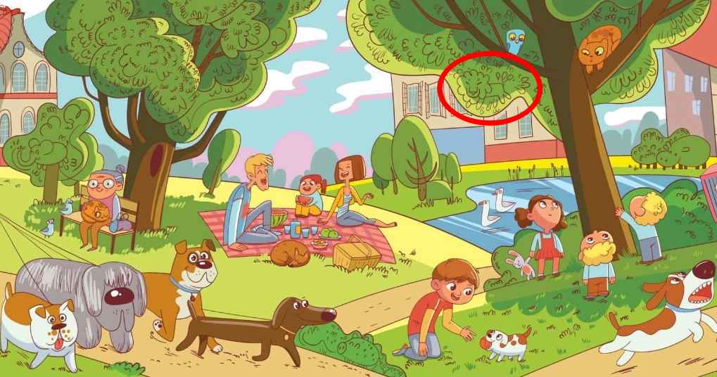 Šis ir uzdevums, ko spēj veikt tikai daži cilvēki: jums ir jāatrod lauva parkā 6 sekunžu laikā.