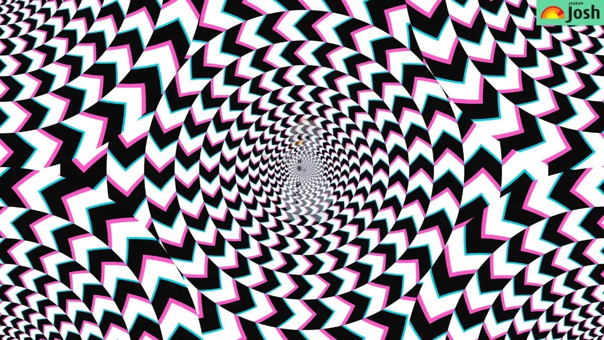 Mīklu asai redzei: jums 5 sekunžu laikā jāatrod paslēptais attēls.