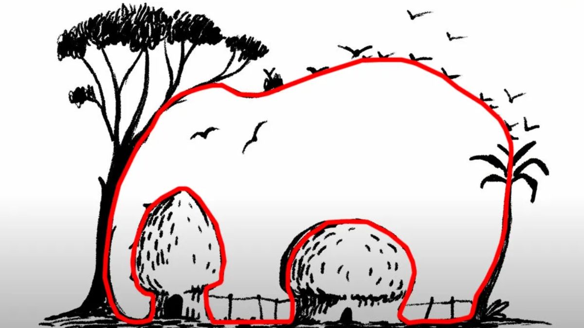 Optiskās ilūzijas risinājums