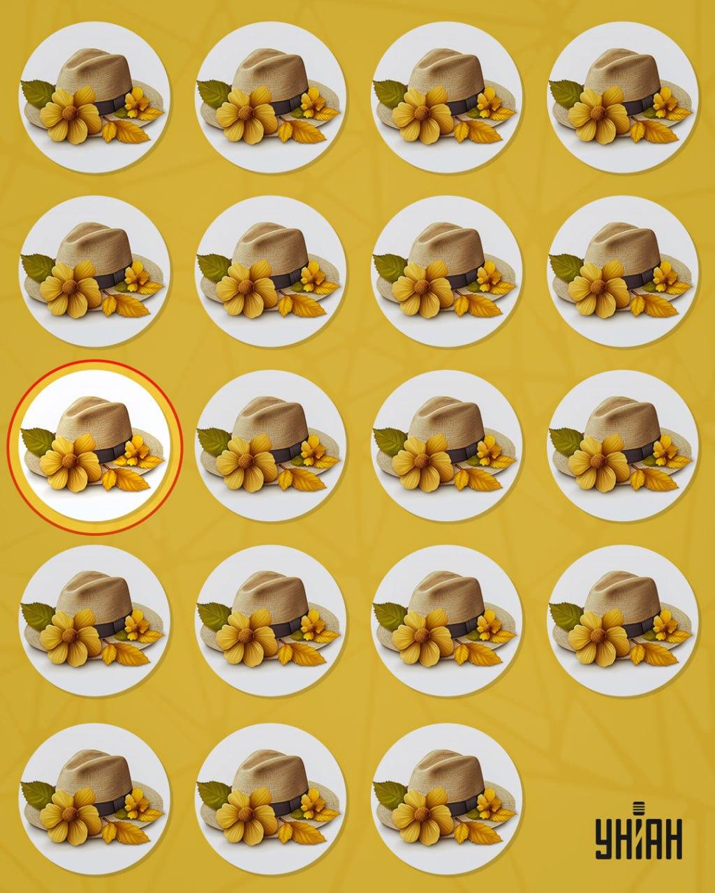 Dīvaino cepuri no pārējām atšķīra neliela detaļa / Moje kolāža