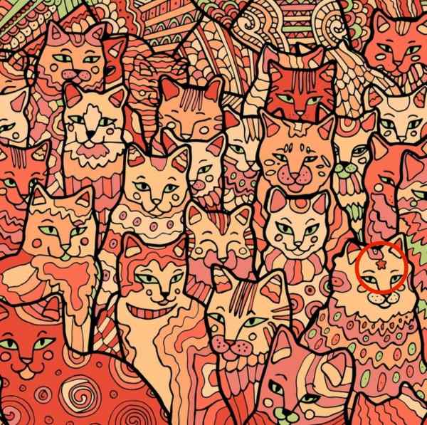 Optiskā ilūzija cilvēkiem ar ērgļa redzi: jums jāatrod zvaigzne starp kaķiem.