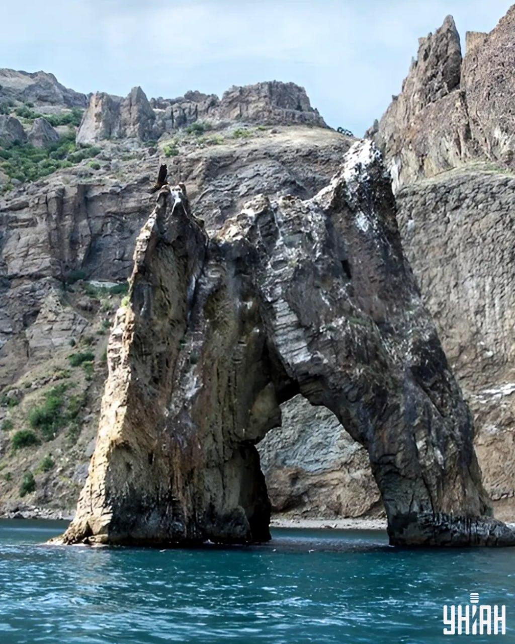 Lai puzzle attēlā / kolāžā ar Moje fotoattēlu atrastu ērgli, ir nepieciešamas mazāk nekā 10 sekundes.