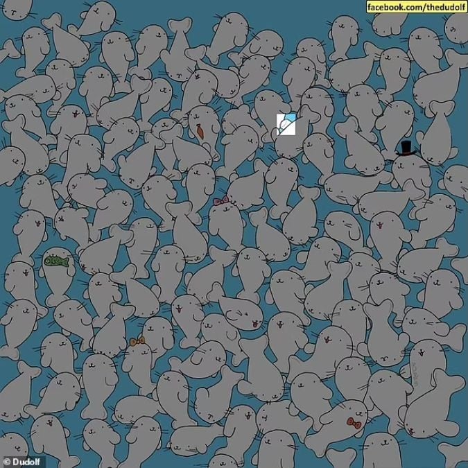 Mīklu cilvēkiem ar asu redzi: 11 sekundēs atrodi zefīru starp roņiem.