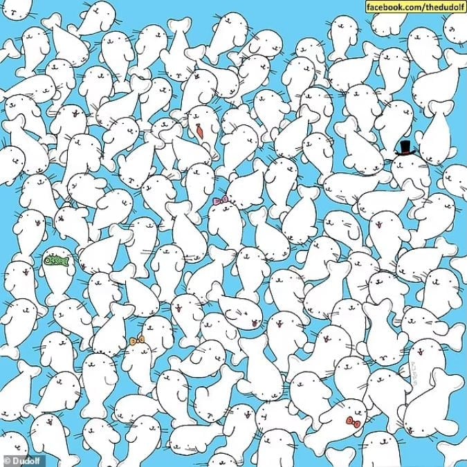 Mīklu cilvēkiem ar asu redzi: 11 sekundēs atrodi zefīru starp roņiem.