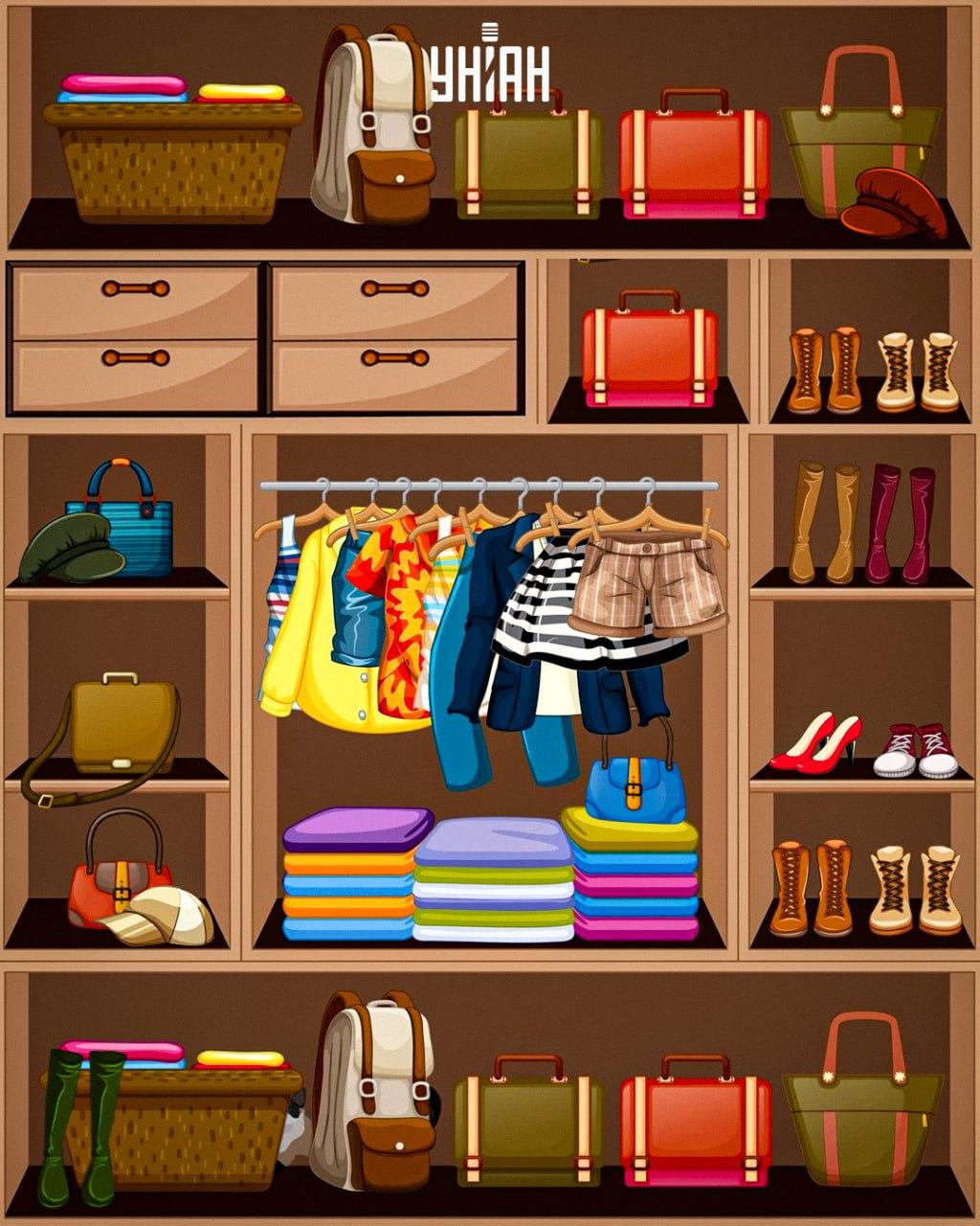 Nepieciešams atrast viltīgu kaķi / kolāža Moje