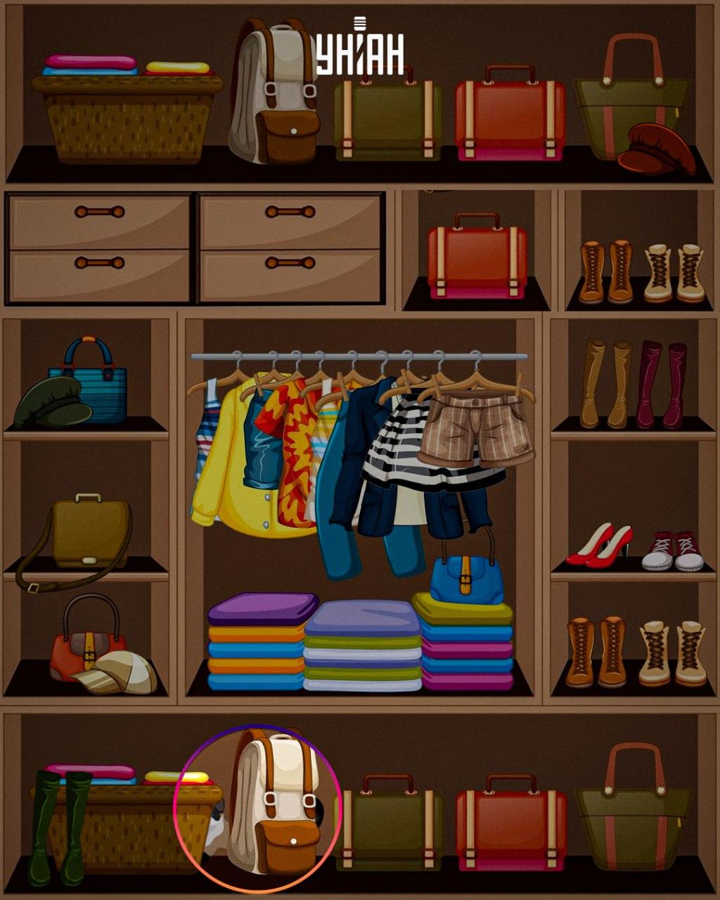 Viltīgais dzīvnieks tika novietots attēla apakšā / kolāža Moje