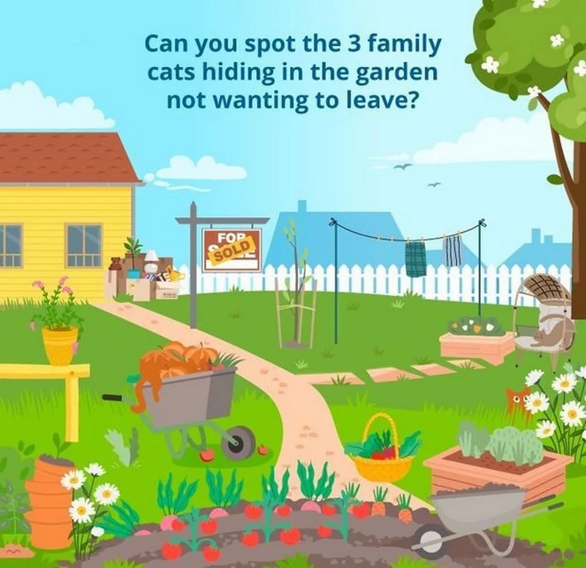 Šajā attēlā slēpjas trīs viltīgi kaķi.