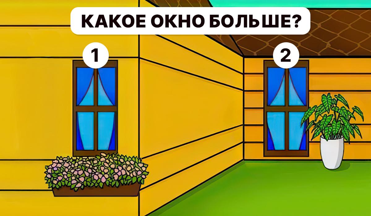 Ir jāsaprot, kurš logs ir lielāks / Moje kolāža