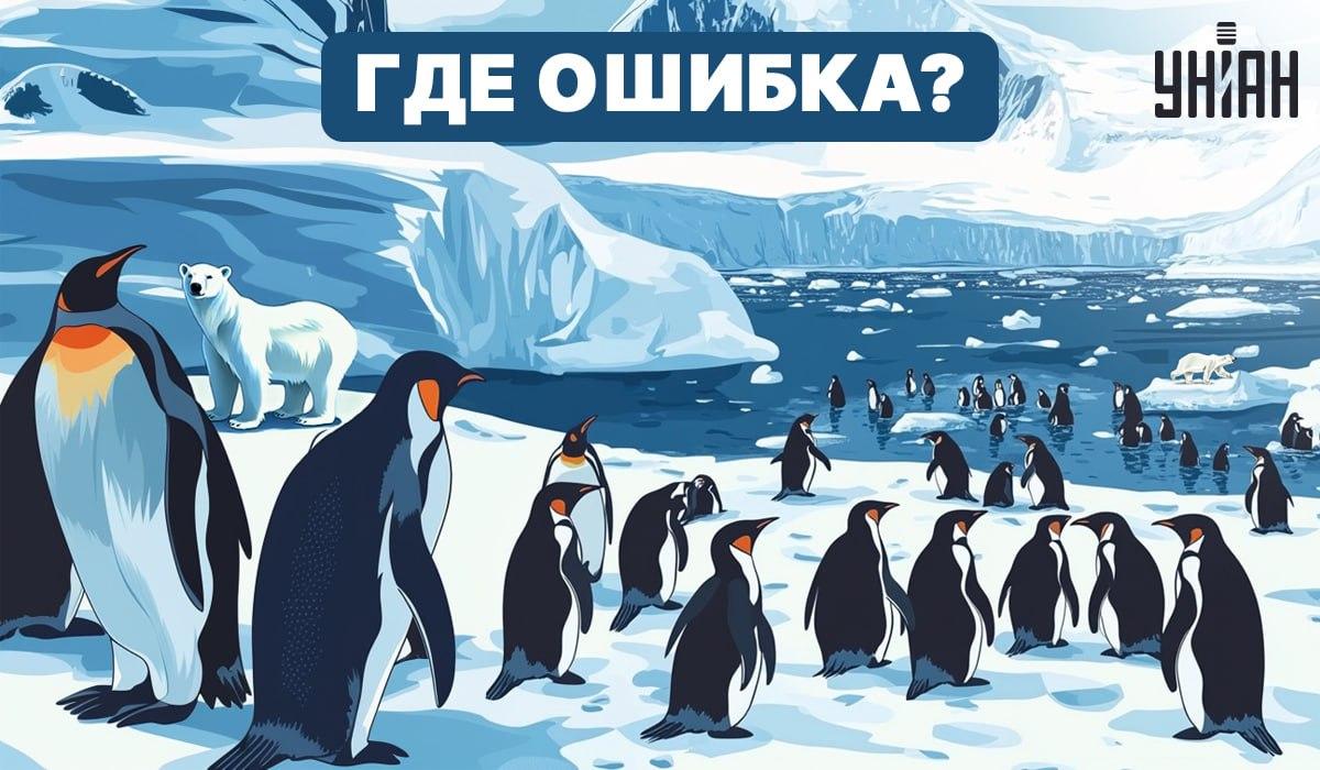 Vai varat noskaidrot, kas attēlā ir nepareizi? / Moje