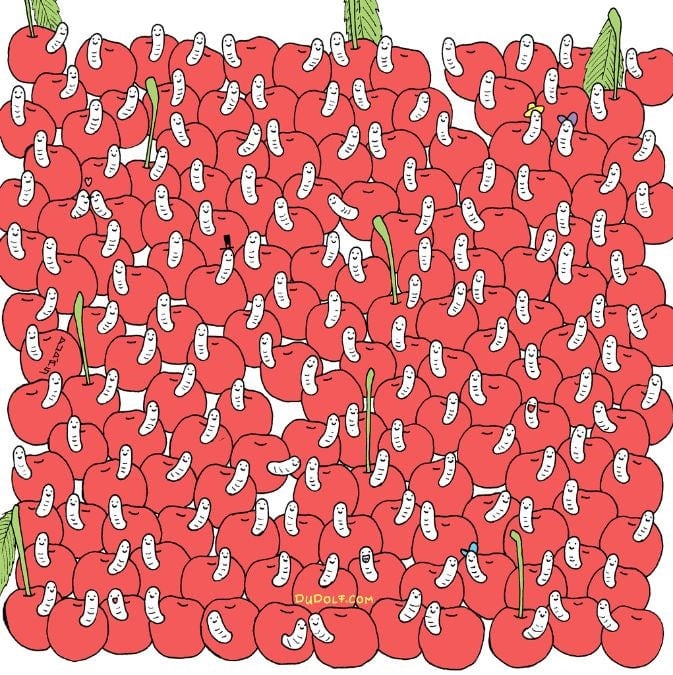 Mīkla ērgļa acīm: 30 sekunžu laikā atrodiet ķirsi bez tārpa