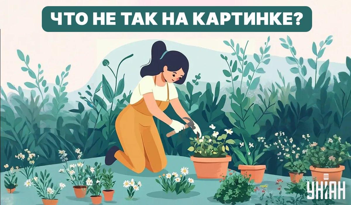 Mēģini atrast kļūdu / Kolāža - Moje