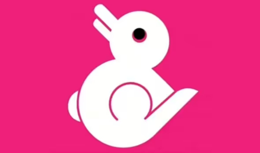 Kas bija pirmais, ko jūs ieraudzījāt?