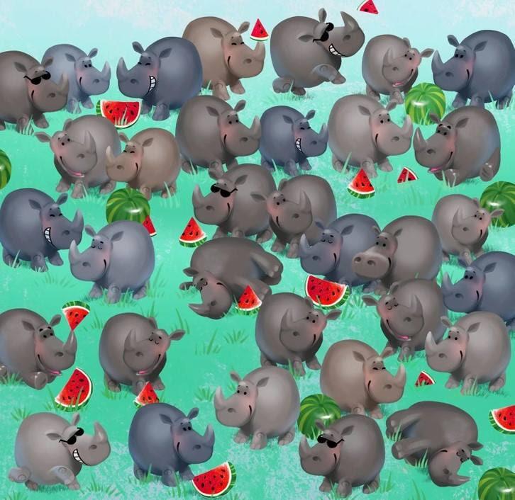 Ilūzija / Spilgtā puse