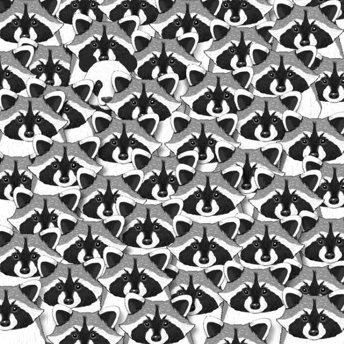 Ilūzija visuzmanīgākajiem: tikai retais spēs atrast pandu starp jenotiem.