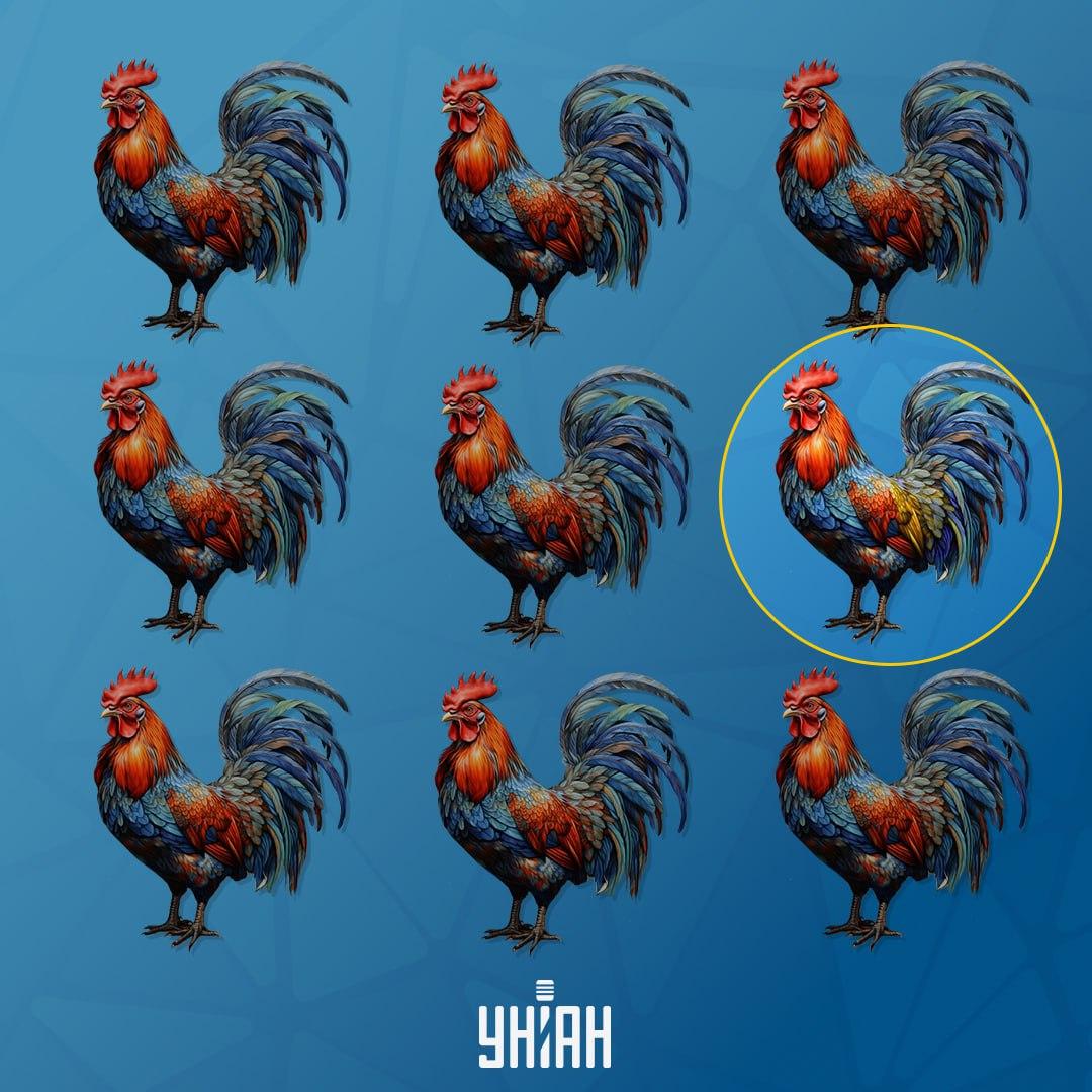 Gailis, kas atšķiras no pārējiem, bija kreisajā pusē / Moje kolāža