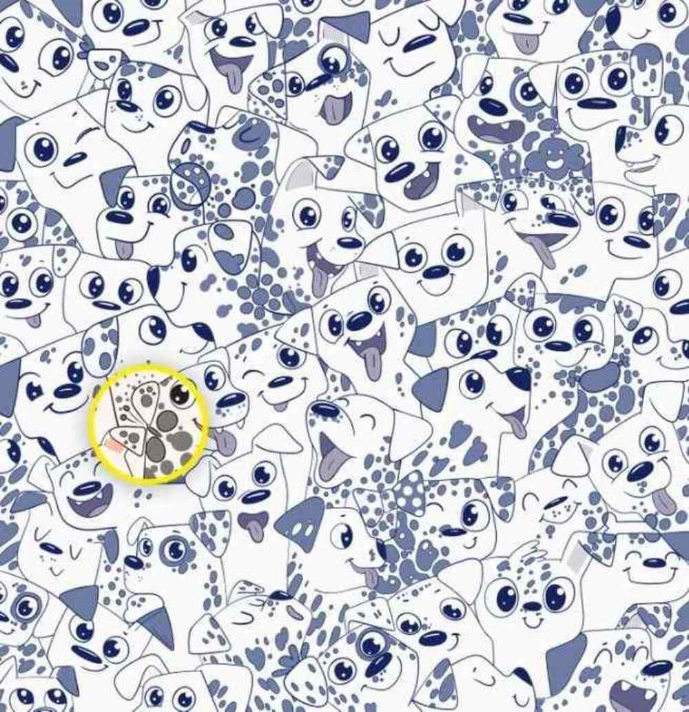 Tauriņš bija labajā pusē / Brightside zīmējums