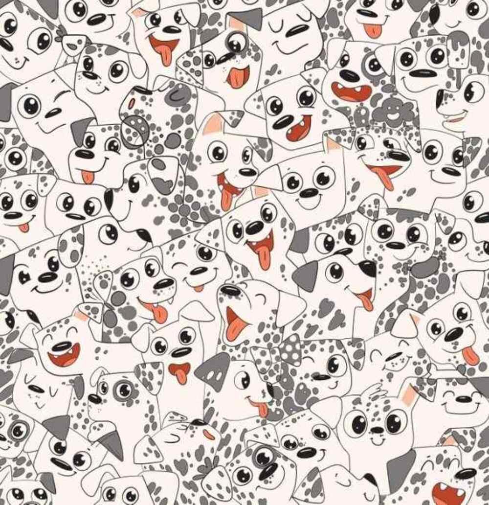 Mēģini pēc iespējas ātrāk atrast tauriņu / zīmējums: Brightside