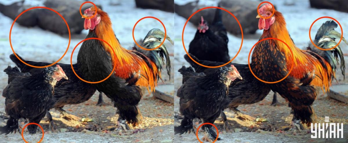 Bija jāpievērš uzmanība sīkām detaļām / kolāža Moje