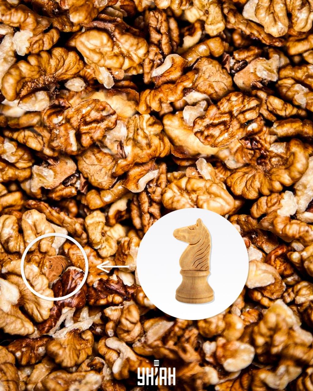 Atbilde / foto: Moje