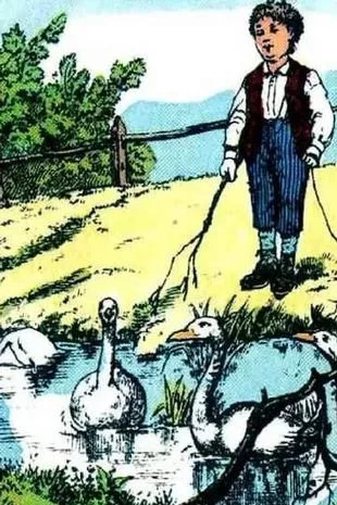 Vai attēlā redzat piekto zosu? 