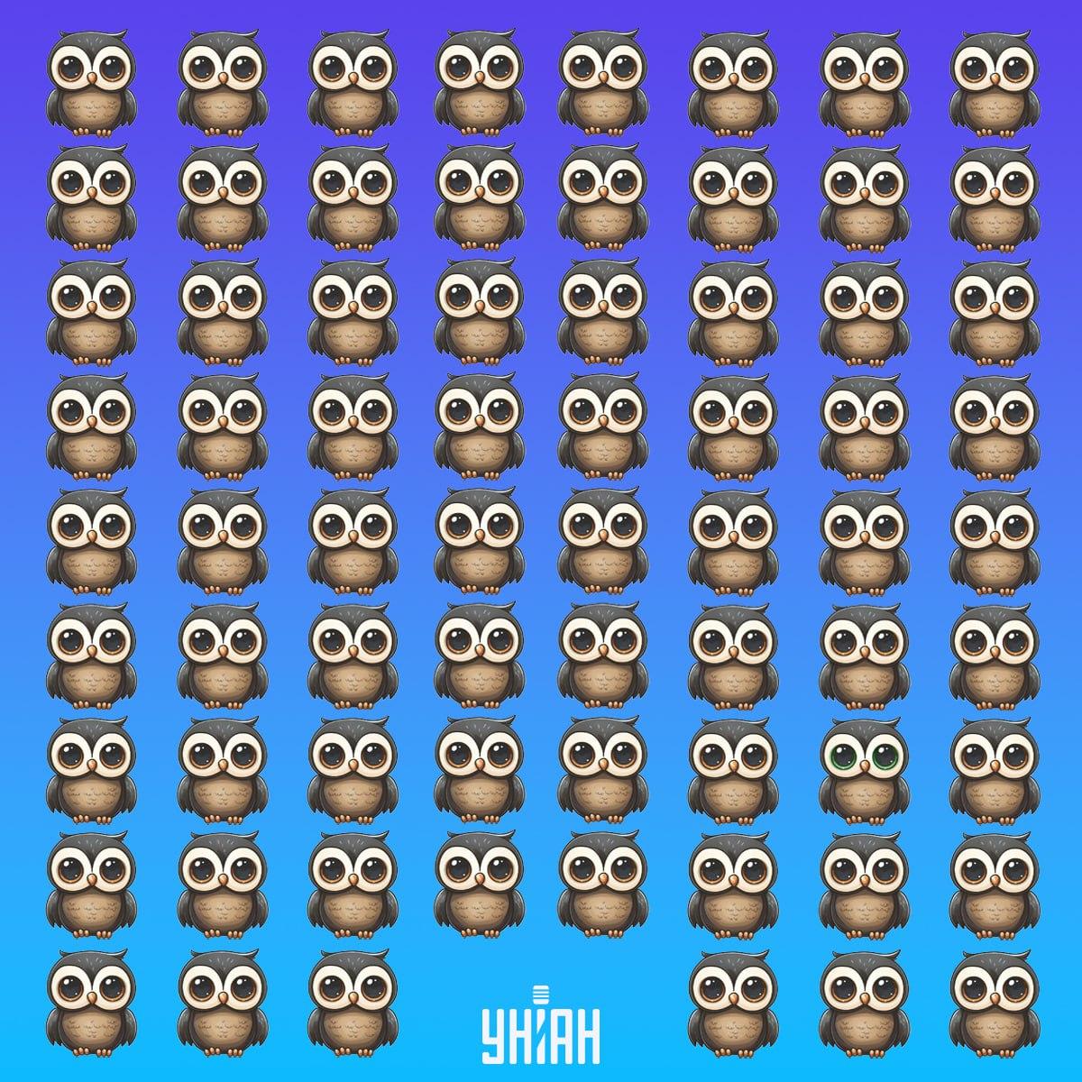 Atrodi retu putnu laikā / Moje kolāža