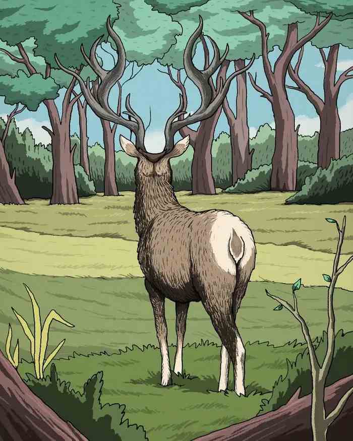 Sprādzienbīstama mīkla ar pavērsienu: tikai daži var atrast pumu mežā.