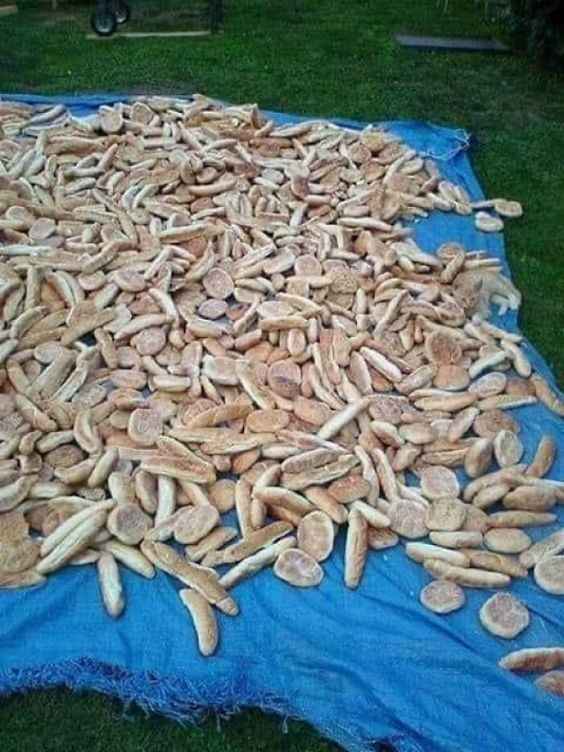 Optiskā ilūzija cilvēkiem ar ērgļa redzi: tikai ģēniji atrod kaķi 5 sekundēs