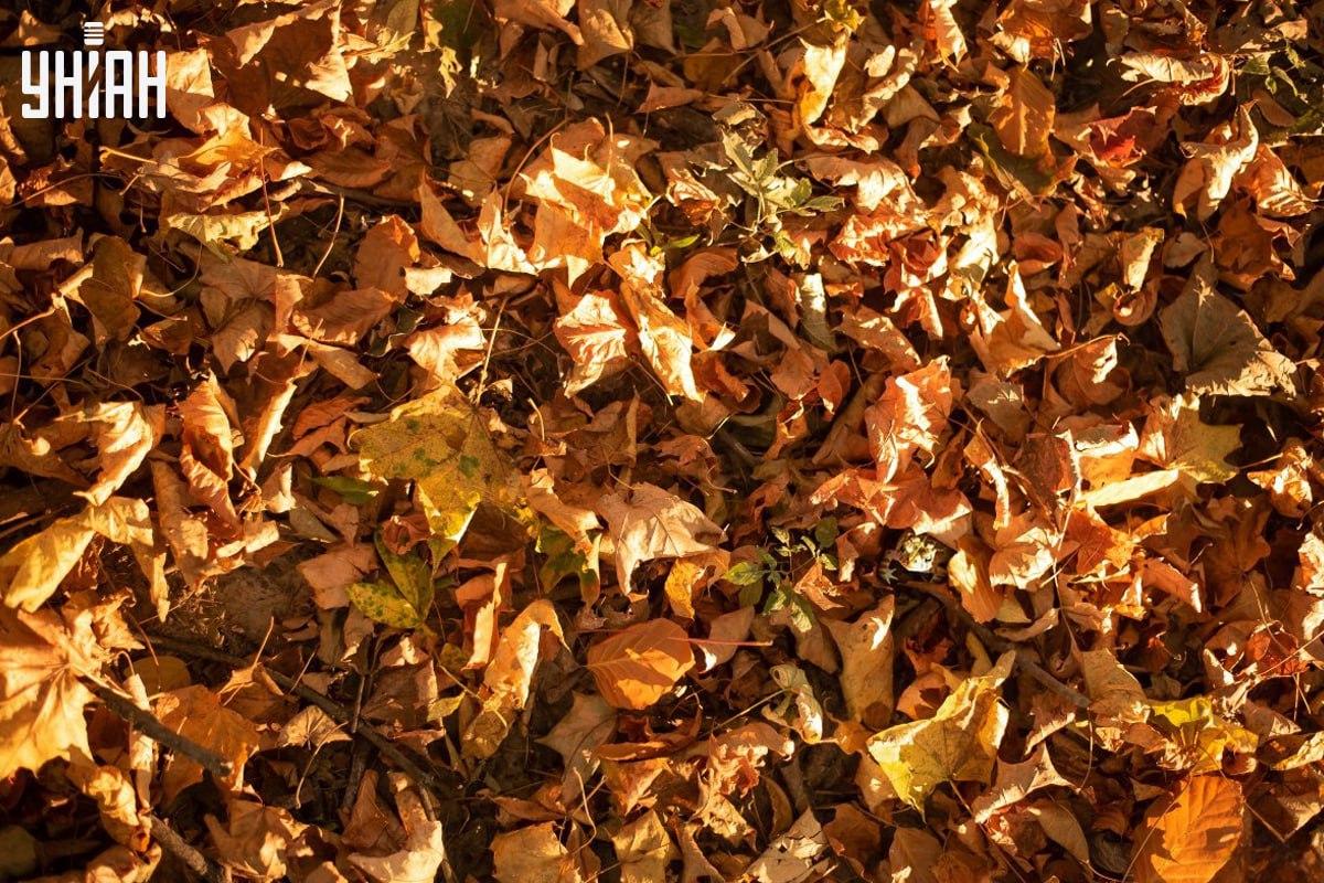 Laikus atrodi vardi attēlā / kolāžā ar Moje foto.