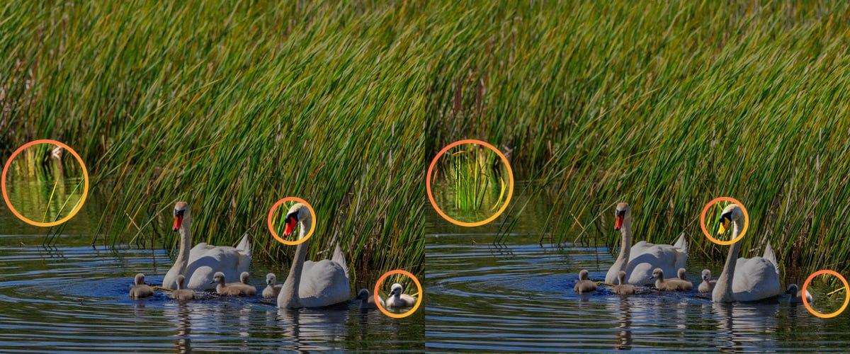 Lai tiktu galā ar mīklu, bija jāpievērš uzmanība sīkām detaļām / kolāža Moje