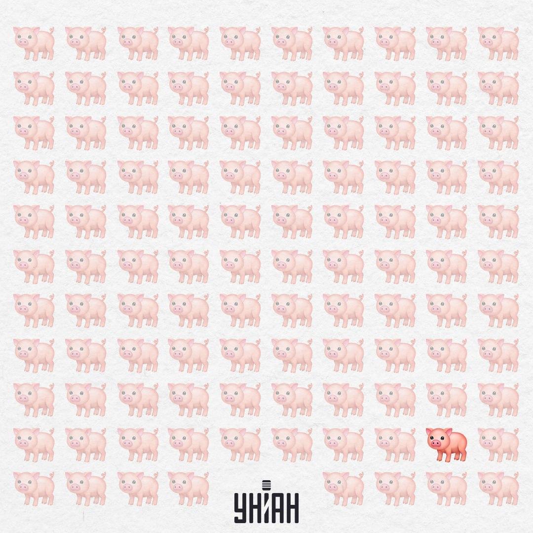 Šis sivēns ir patiešām dīvains, tam nav rozā astes / Kolāža Moje