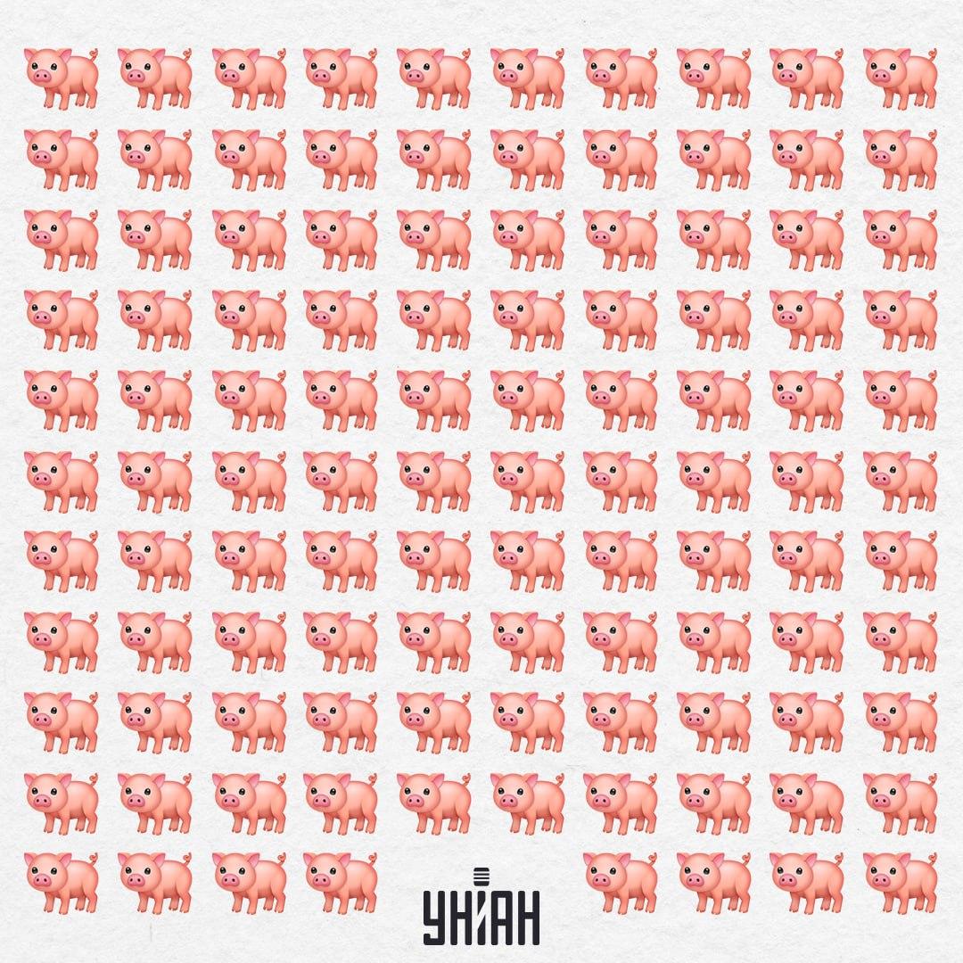 Mūsu cūka ir kaut kur tur, tā tik viegli neaizķers mūsu uzmanību / Moje Collage