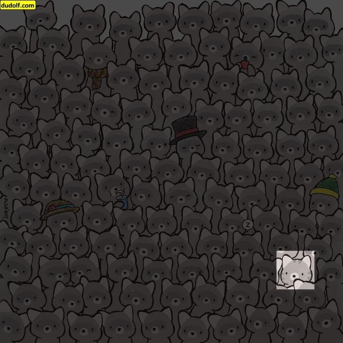 Mīklu īstiem ģēnijiem: 15 sekunžu laikā atrodiet kaķi starp jenotiem.