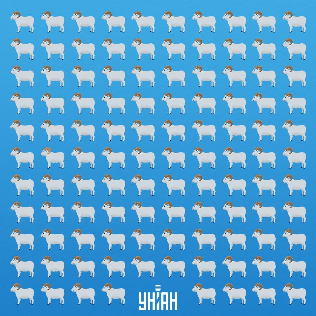 Ir 7 sekundes, lai ieraudzītu viltīgo dzīvnieku / Moje Collage