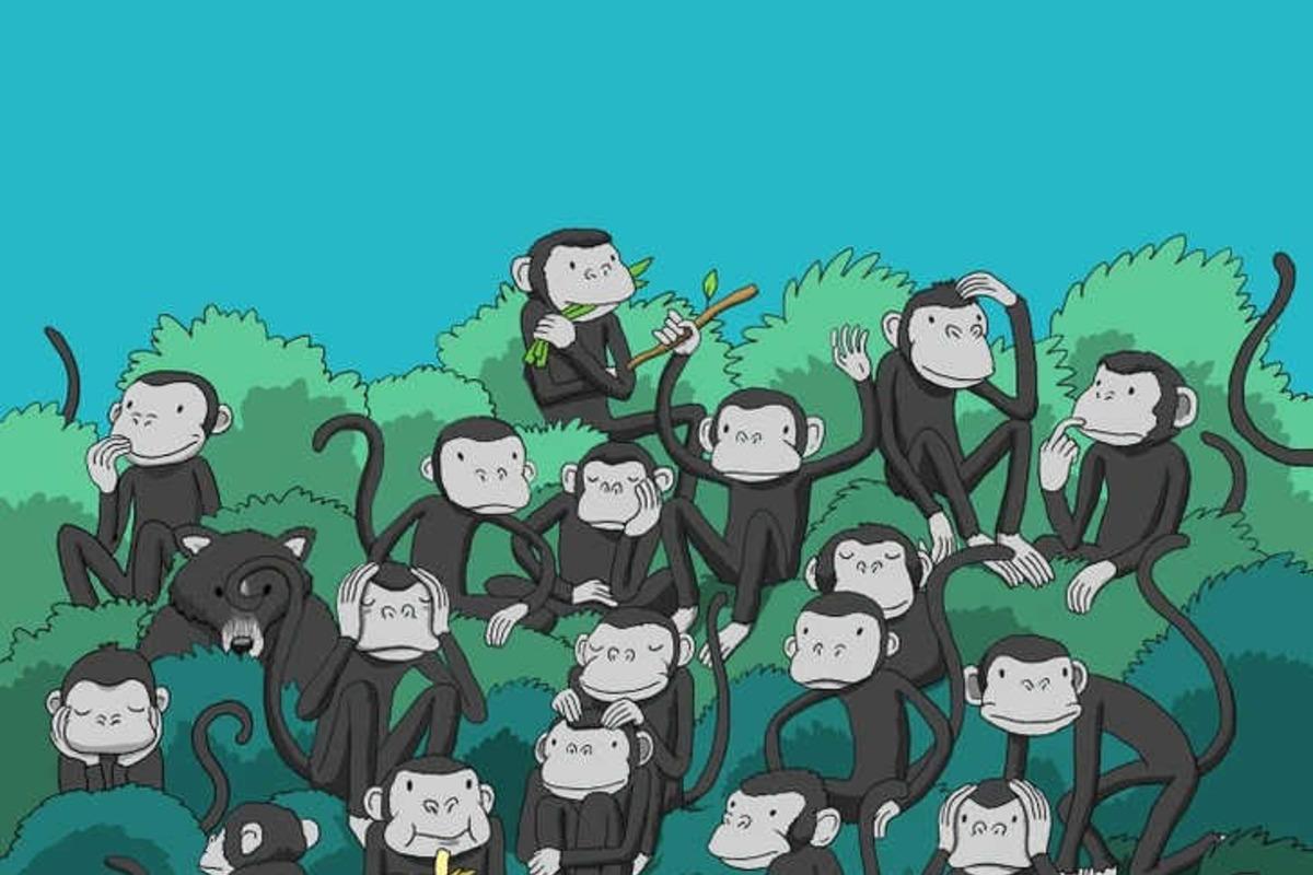 Mēģiniet atrisināt mīklu 4 sekundēs / zīmējums Bright Side