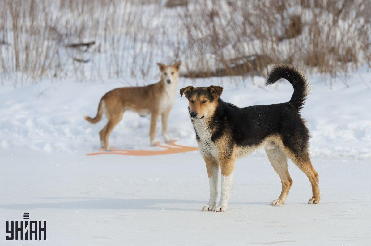 Viena no ēnām attēlā attēlota nepareizi / kolāža ar Moje fotoattēlu