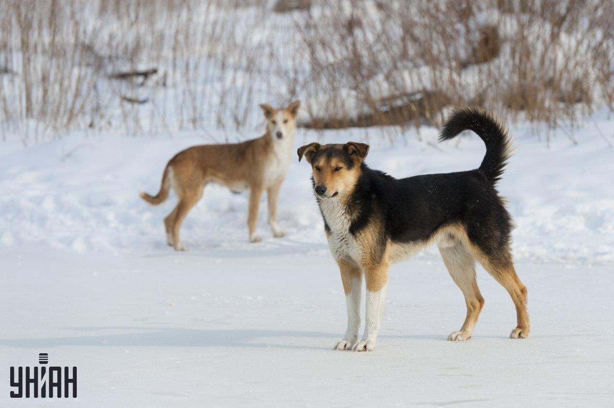 Mēģiniet 8 sekunžu laikā saprast, kas nav kārtībā foto puzlē / kolāžā no Moje foto.