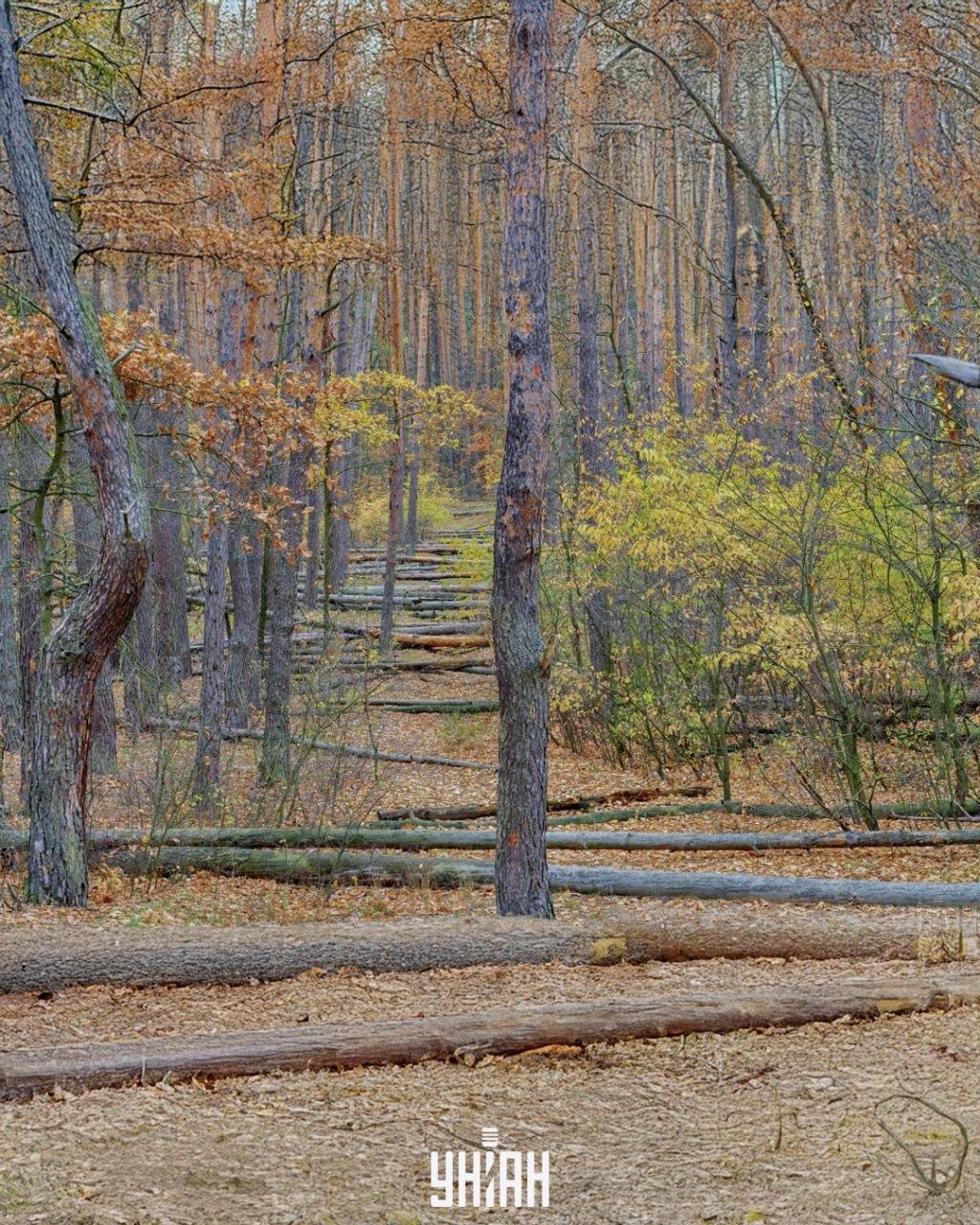 Foto: Moje, Falin Volodymyr