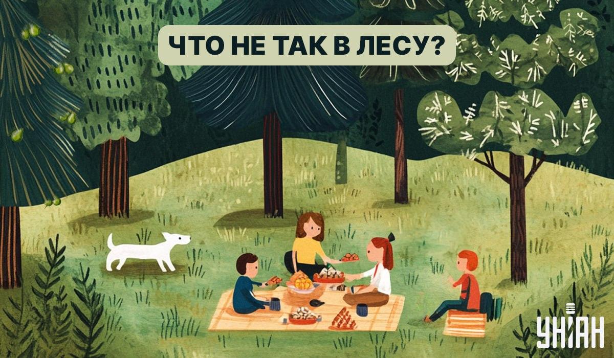 Atrodi kļūdu mežā 5 sekundēs: ātrs tests IQ pārbaudei