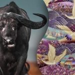 Atrodiet bulli attēlā 15 sekundēs: mīkla uzmanīgākajiem cilvēkiem Atrodiet bulli attēlā 15 sekundēs: mīkla uzmanīgākajiem cilvēkiem