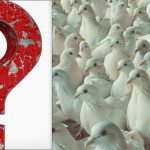 Ikviens redz baložus, bet jums 10 sekundēs jāatrod lepna kaija: