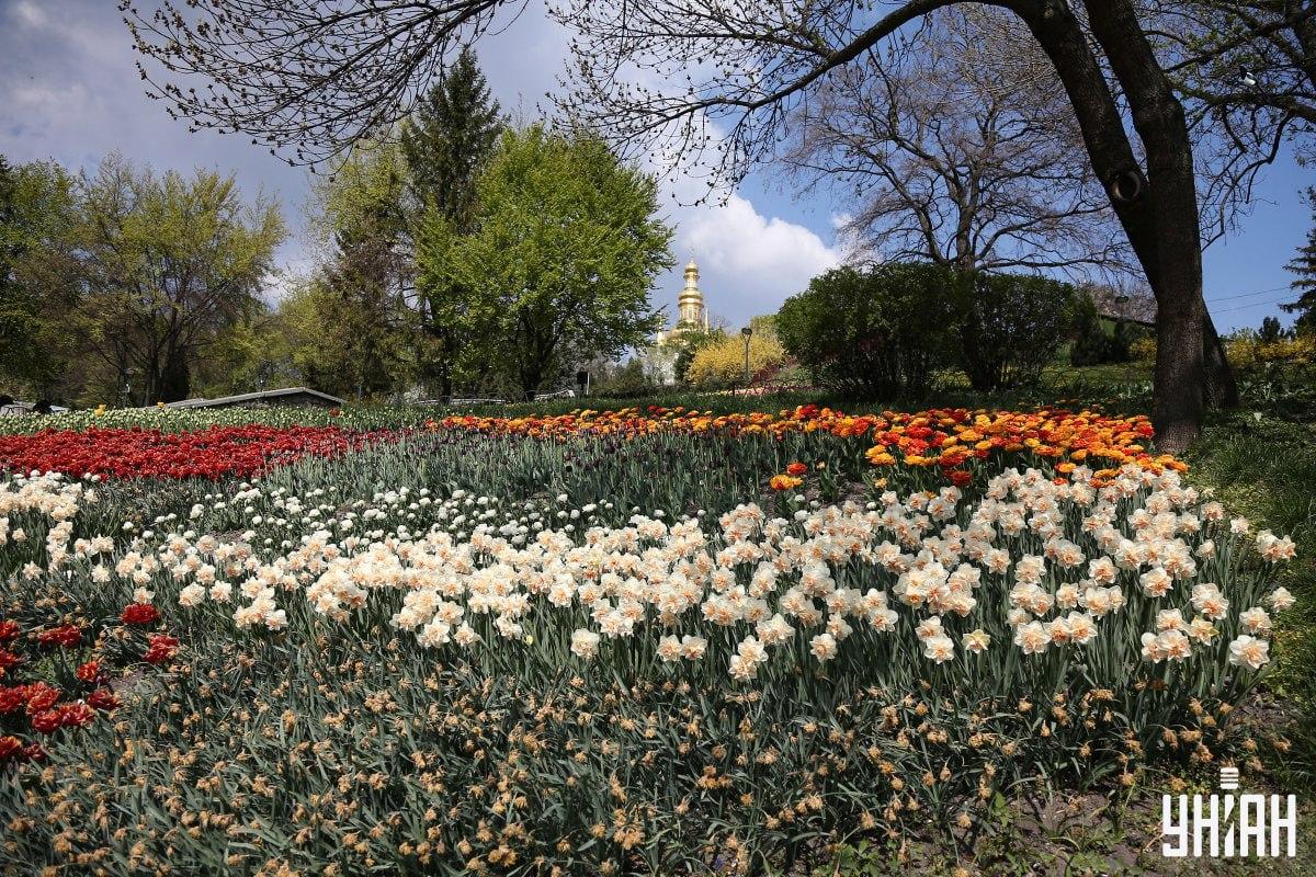 Atrodi putnu mazāk nekā 10 sekundēs / kolāža Moje