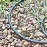 Interesants IQ tests: mēģiniet atrast slēpto vardi tikai 5 sekundēs Interesants IQ tests: mēģiniet atrast slēpto vardi tikai 5 sekundēs