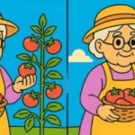 IQ tests: 51 sekundē atrodiet 3 atšķirības vecās dāmas attēlos