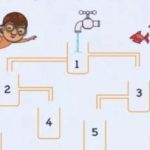 Kura krūze pirmā piepildīsies ar ūdeni: apzinātības puzle