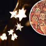 Optiskā ilūzija cilvēkiem ar ērgļa redzi: jums ir jāatrod zvaigzne