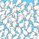 Puzle vājredzīgajiem: 11 sekunžu laikā atrodiet zefīru starp roņiem. Puzle vājredzīgajiem: 11 sekunžu laikā atrodiet zefīru starp roņiem.