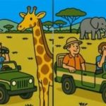 Super IQ tests: 41 sekundē atrodiet 3 atšķirības tūristu attēlā